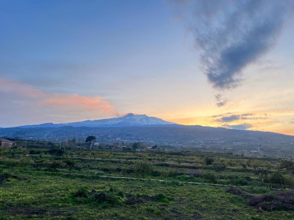 Vista Etna House Διαμέρισμα Fiumefreddo di Sicilia Εξωτερικό φωτογραφία